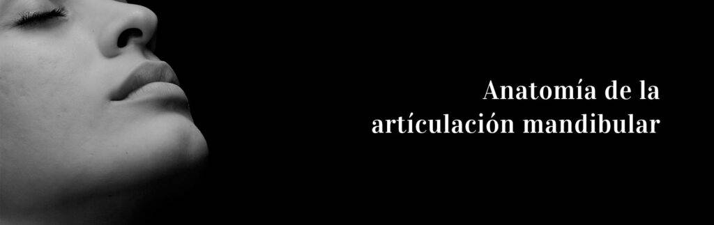 articulacion mandibular